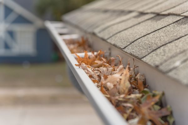 Leaf Barrier Installation in Statesville